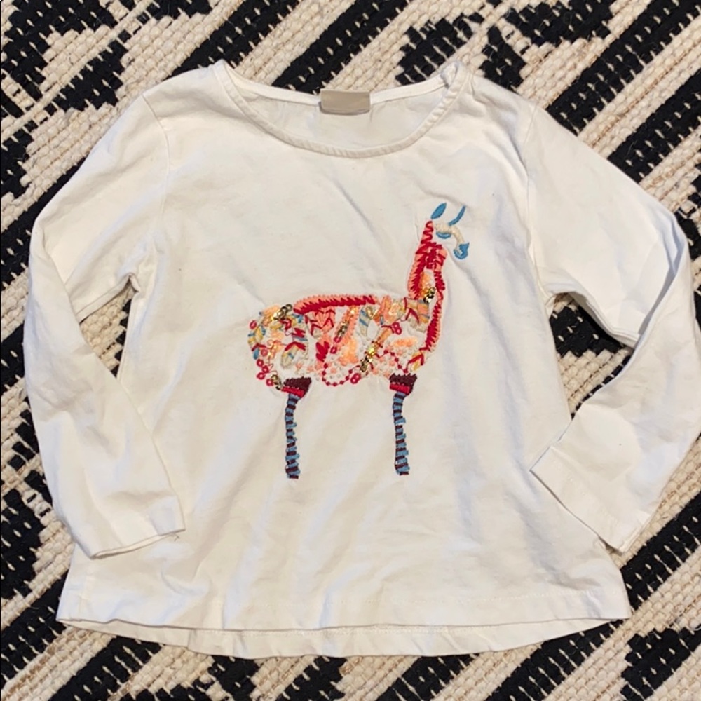Girls Zara Top